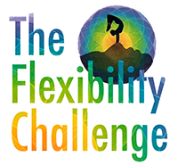The Flexibility Challenge